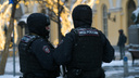 Полиция проверяет инцидент со школьницей в Шумихе