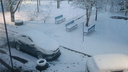 Снег накрыл Ростовскую область сразу после «официальной» Масленицы: фото и видео