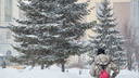 «Постепенно переходим к весне»: снегопады накроют Новосибирск в ближайшие дни — прогноз синоптиков