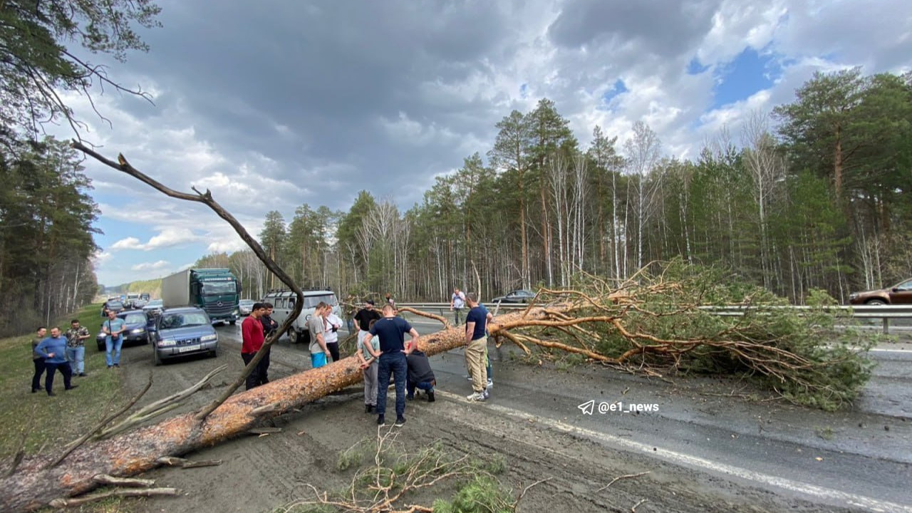 Упавшее дерево парализовало движение на трассе Челябинск — Екатеринбург