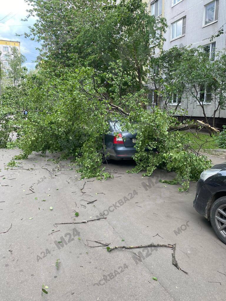 Ураган в москве