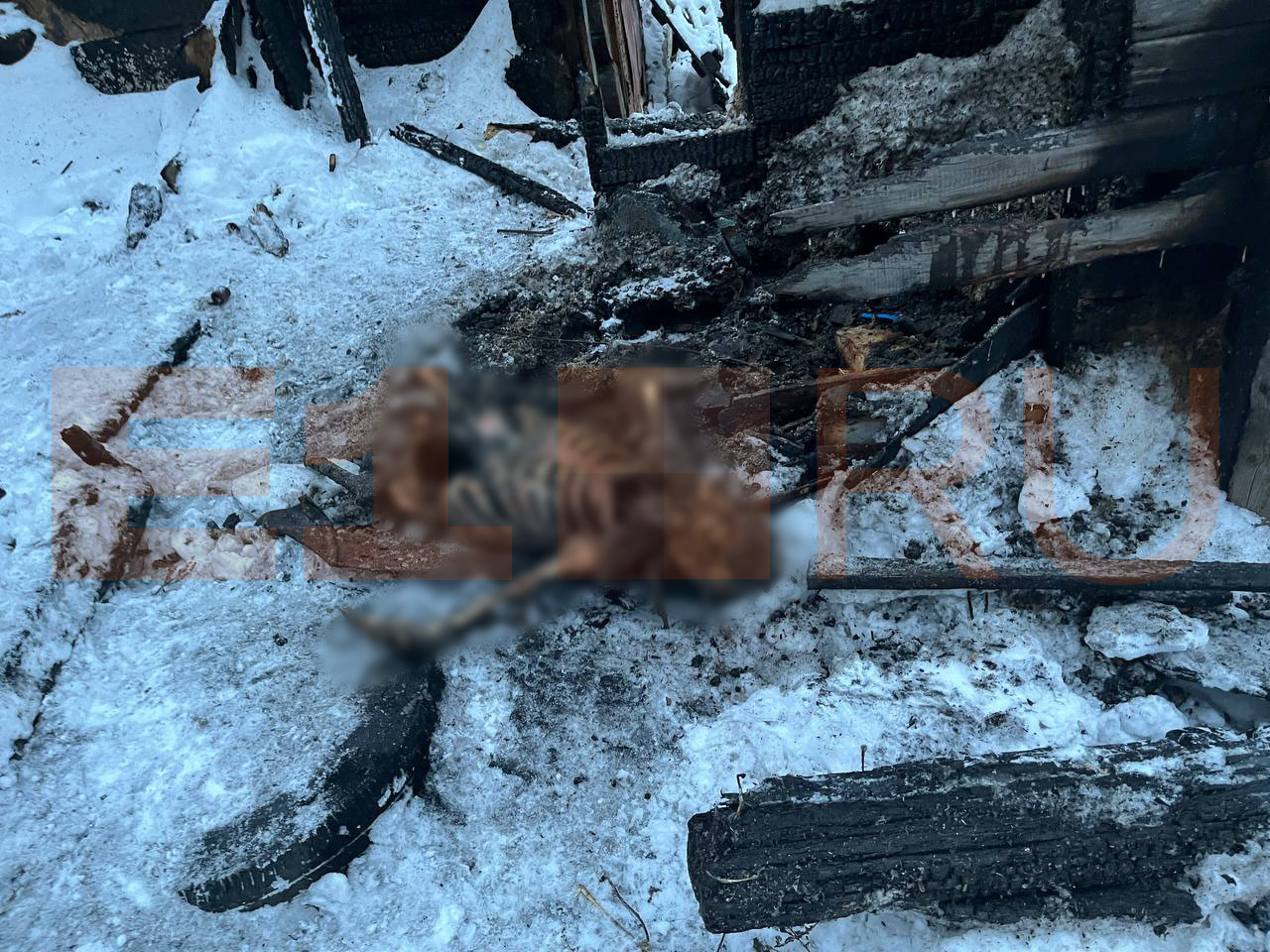 «Частей рук и ног нет». В Екатеринбурге дети нашли в снегу человеческий скелет