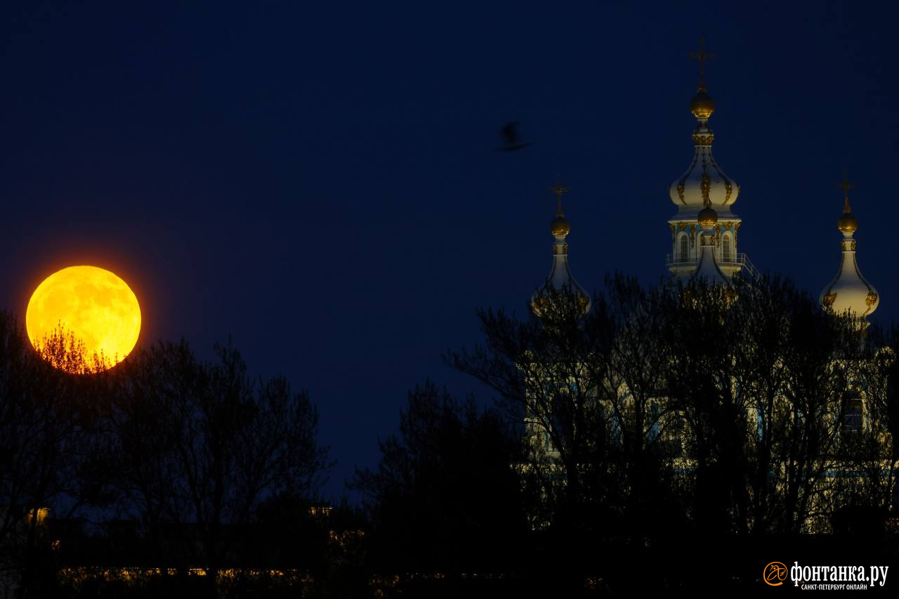 Большая Луна над Питером. Луна на закате. Полнолуние фото. Фотографии Луны.