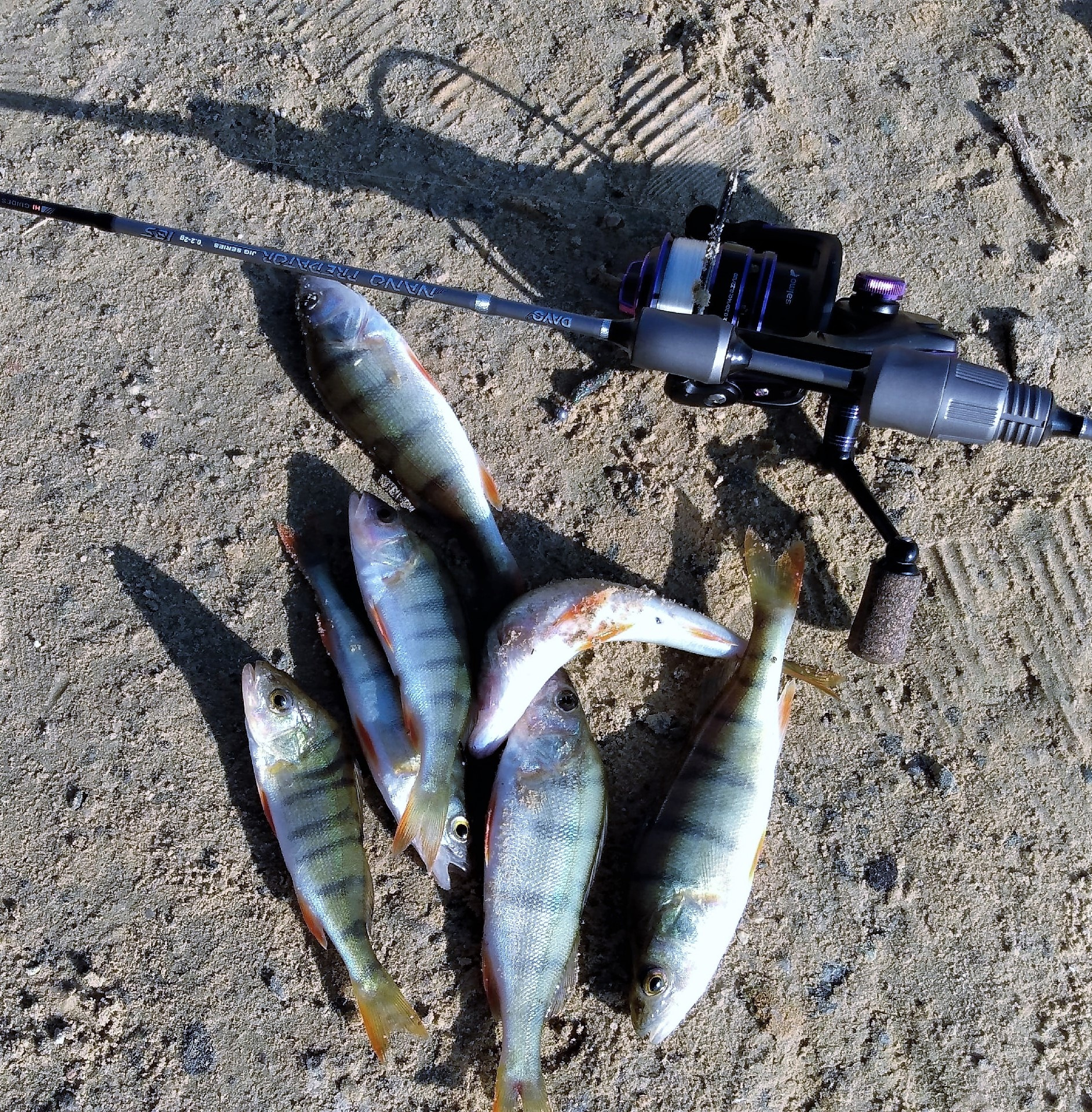 Рыбалка в челябинской области сегодня. Рыбалка фото. Рыбалка на озере. Озеро Акакуль Челябинская область рыбалка. Рыбы Урала.