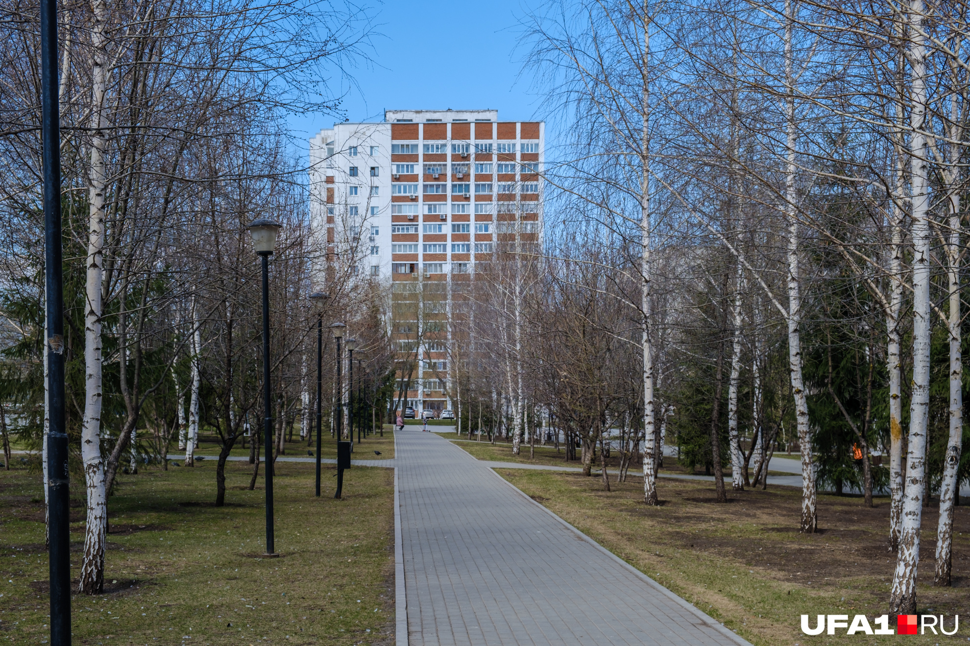 Хорошее место для тихой прогулки скоро превратится в шумный парк