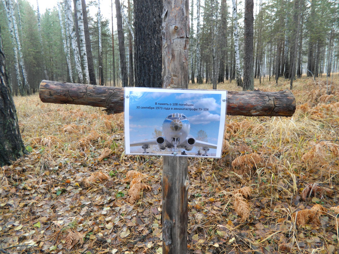 Крест в лесу, где разбился Ту-104
