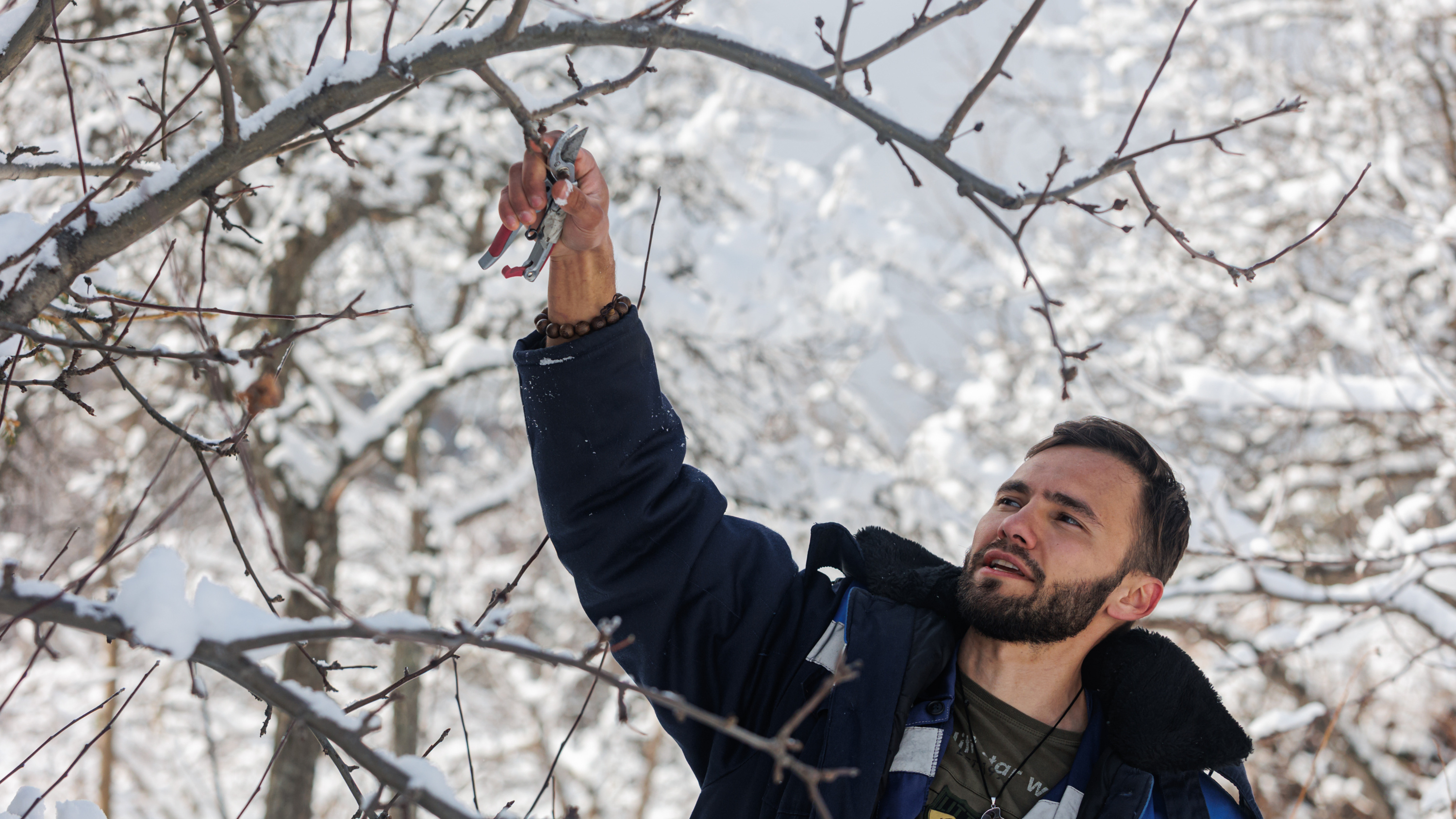 Делайте правильно и ешьте своё: эксперт из сада Крутовского дал советы по уходу за плодовыми деревьями