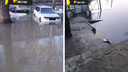 «Доходит до дверей автомобиля»: вода затопила двор дома в Новосибирске — смотрим фото