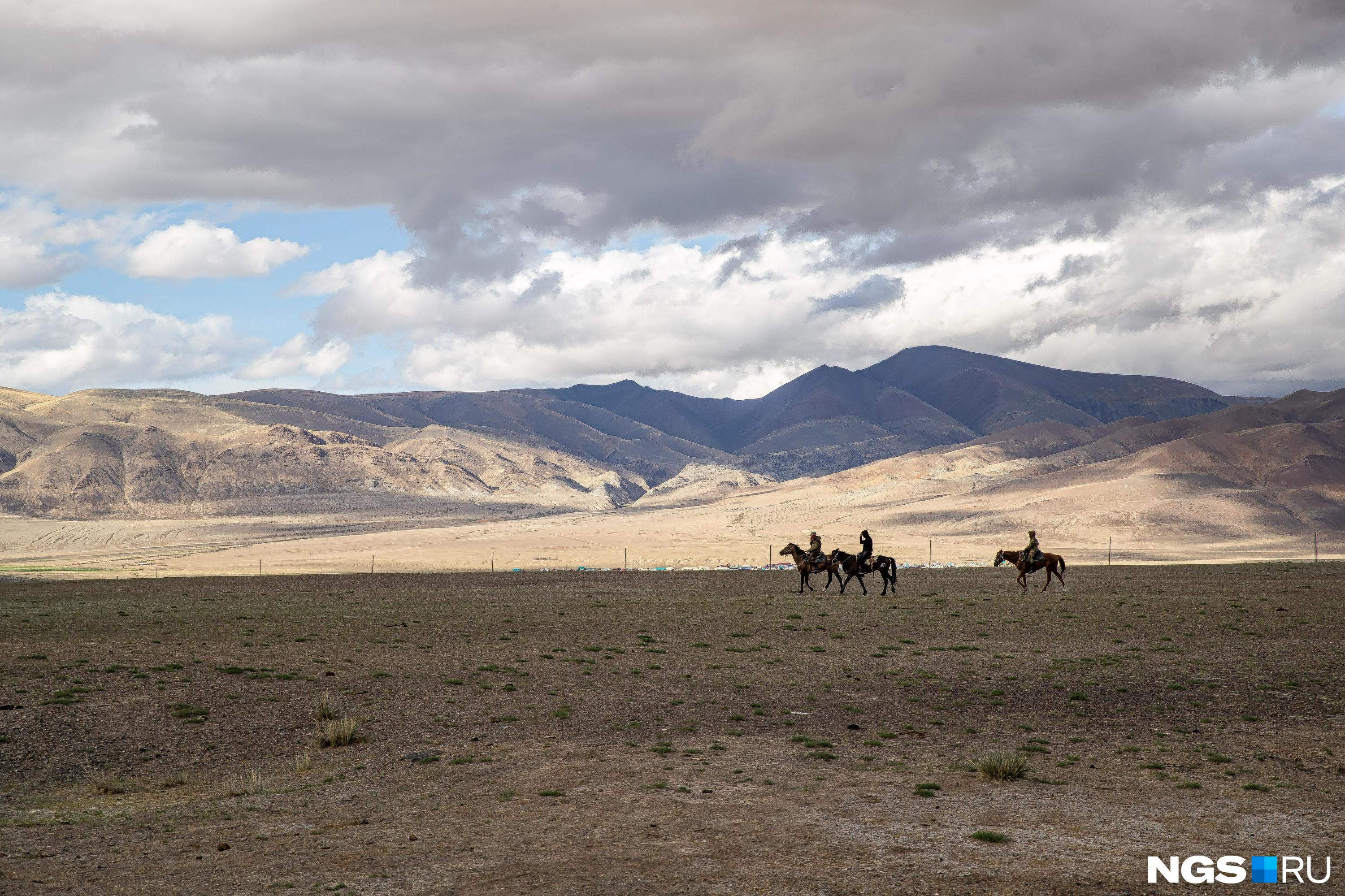 Пьяный забайкалец на коне поскакал за стадом в Монголию, минуя погранпост