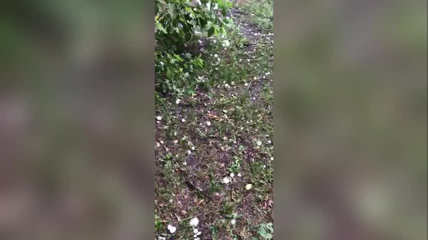 Восстановительные работы