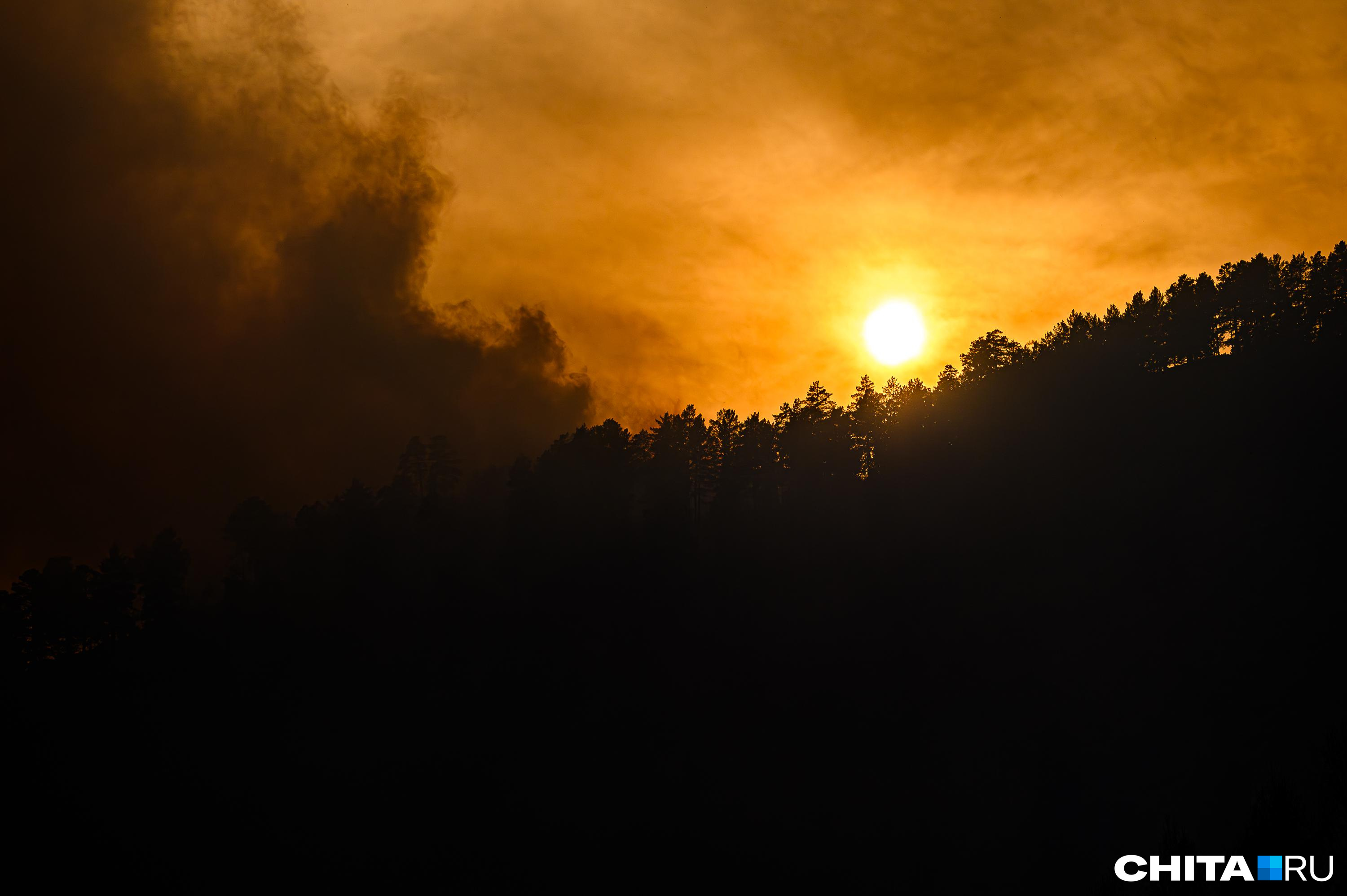 Прокуратура проверит, почему лесные пожары в Забайкалье тушат дольше суток