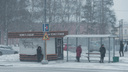 В Архангельске автобусы застряли в сугробах из-за метели: какие маршруты задерживаются