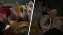 «Запах такой, что глаза слезятся»: сибирячка заявила, что сосед завалил мусором квартиру — он оставляет отходы в подъезде