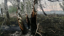 Сухая гроза стала причиной лесного пожара на Южном Урале