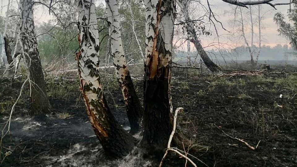 Сухая гроза стала причиной лесного пожара на Южном Урале