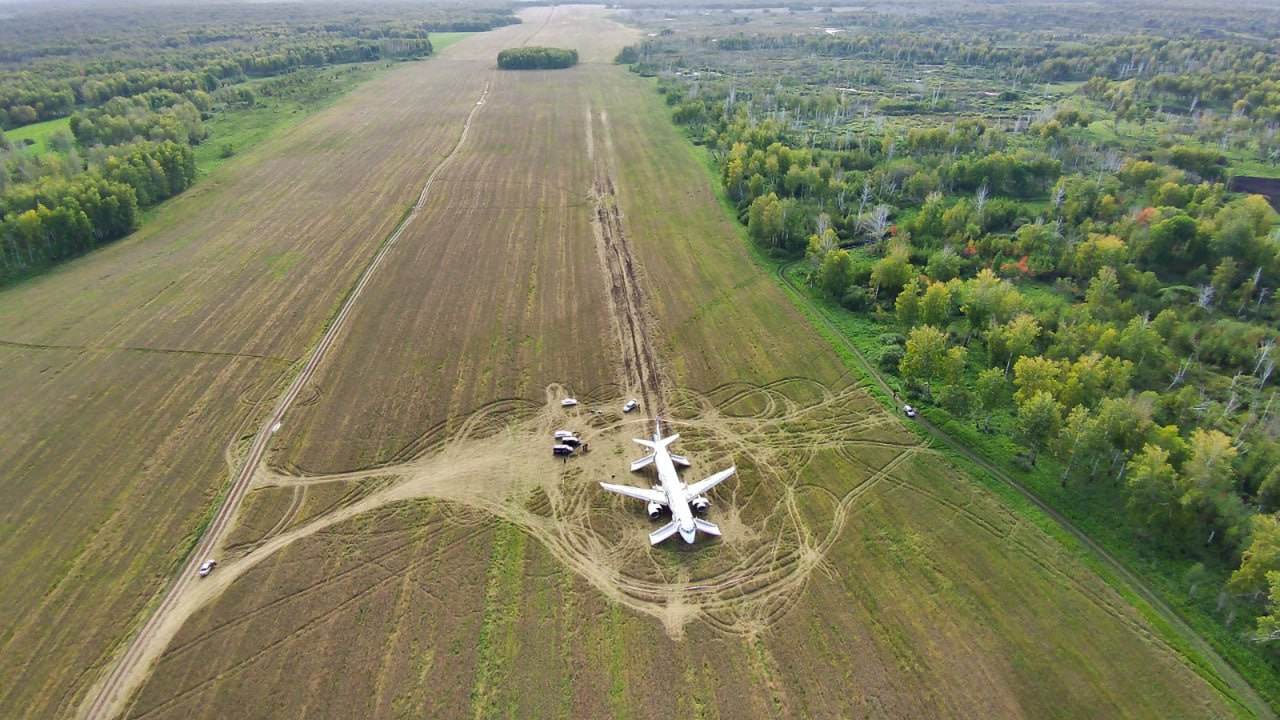 «Уральские авиалинии» показали «импровизированный аэропорт» в пшеничном поле под Новосибирском
