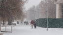 Накроют снег и метель: на Ярославскую область надвигается новый циклон