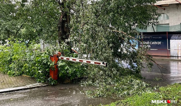 Мегаливень со смерчем разносит Москву, вырывая с корнем деревья и рекламные щиты. Фото и видео стихии