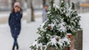 Достаем сани? Синоптики предупредили о надвигающихся морозах и долгожданном снеге в Волгограде