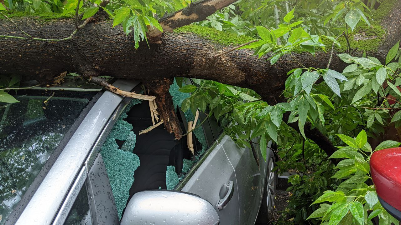 Деревья падают на автомобили. Москву накрыла волна тропических ливней: онлайн-репортаж