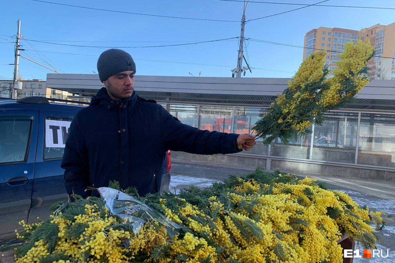 Дизайн цветочного магазина. Лечебные растения 2 класс окружающий мир шалфей. Правила ухода за комнатными растениями. Классификация лечебных растений. Крестовник ложноарниковый.