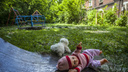 11-летняя девочка погибла в интернате в Новосибирской области — ее могли ударить табуреткой