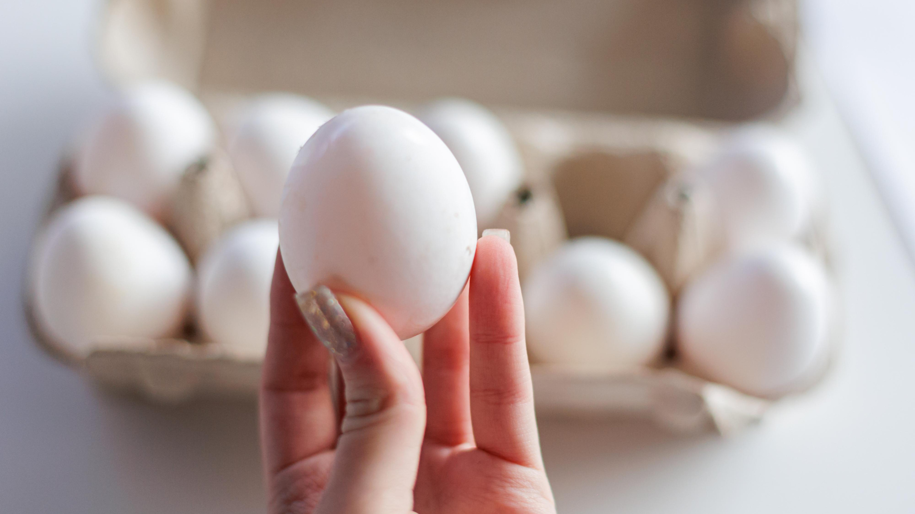 Чем турецкие яйца отличаются от российских? Спросили профессора
