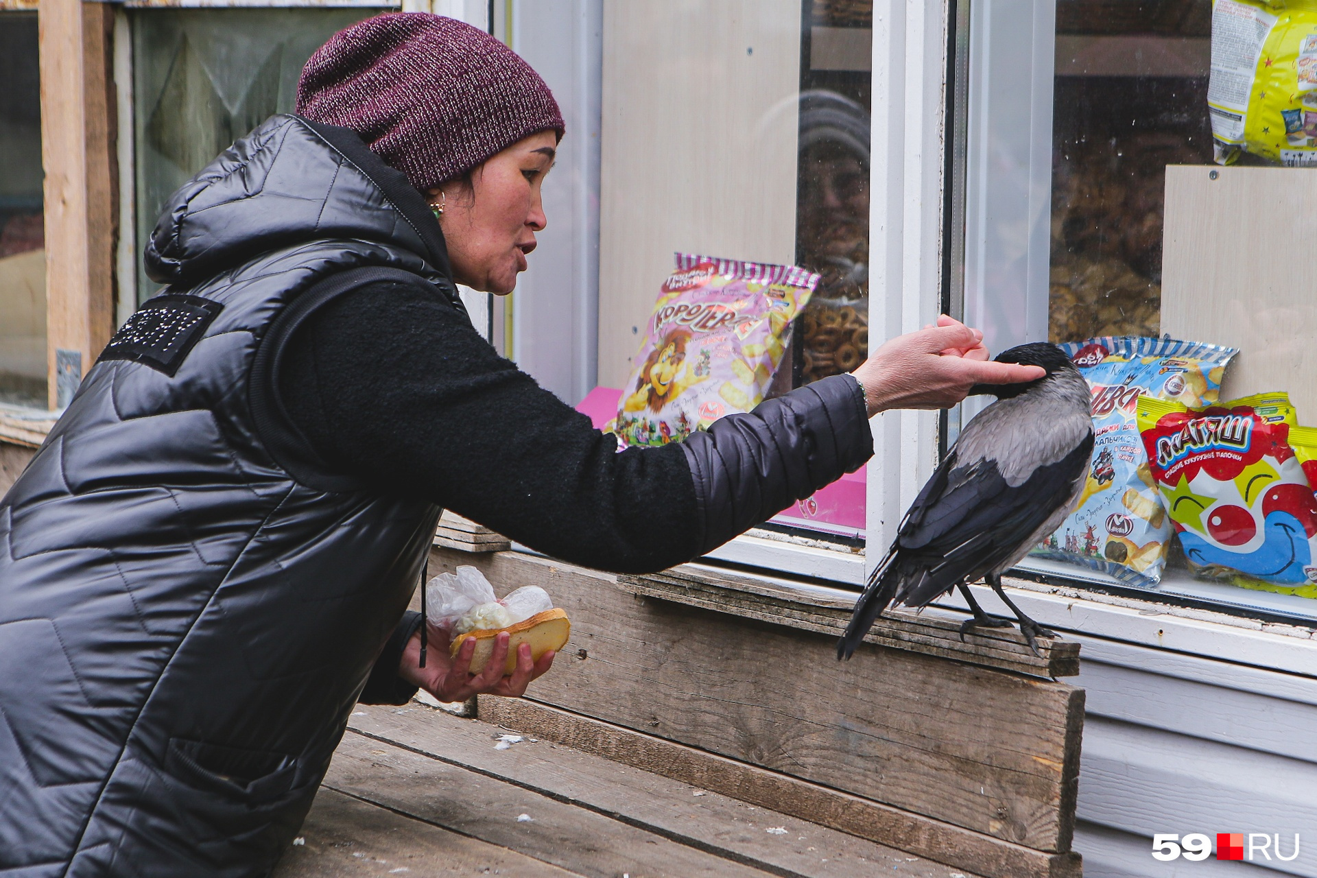 Crow пермь