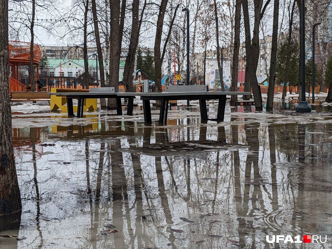 Если мячик для настольного тенниса упадет за пределы стола, придется нырять, чтобы его найти Если мячик для настольного тенниса упадет за пределы стола, придется нырять, чтобы его найти