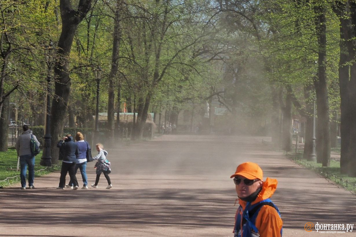 В Петербурге постепенно теплеет, выходные зовут гулять