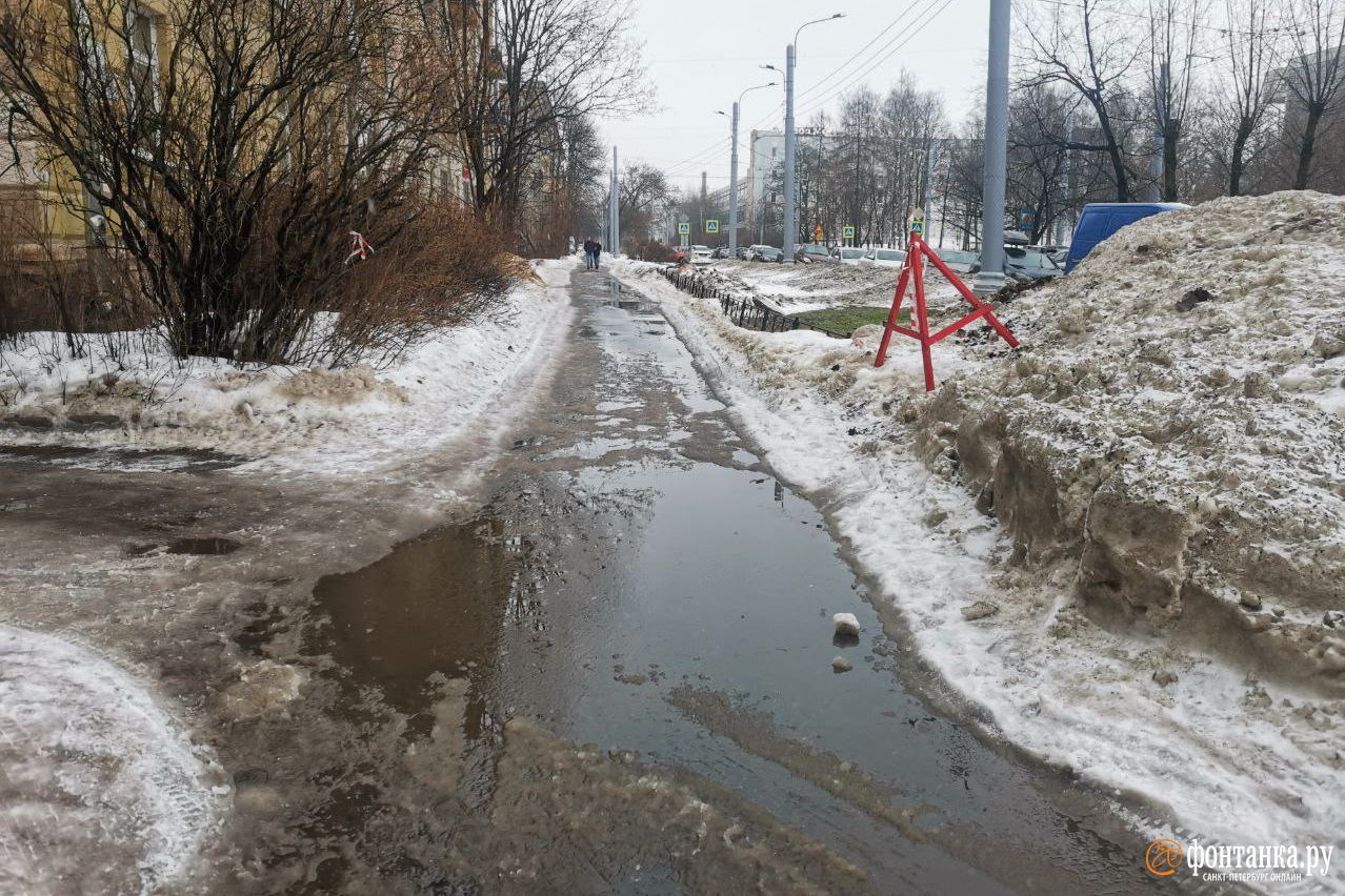 Как петербуржцы пережидают оттепель в травмпунктах - 25 января 2024 -  ФОНТАНКА.ру