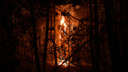 Небо стало красным. Крупный пожар вспыхнул вечером у села в Приморье — фото