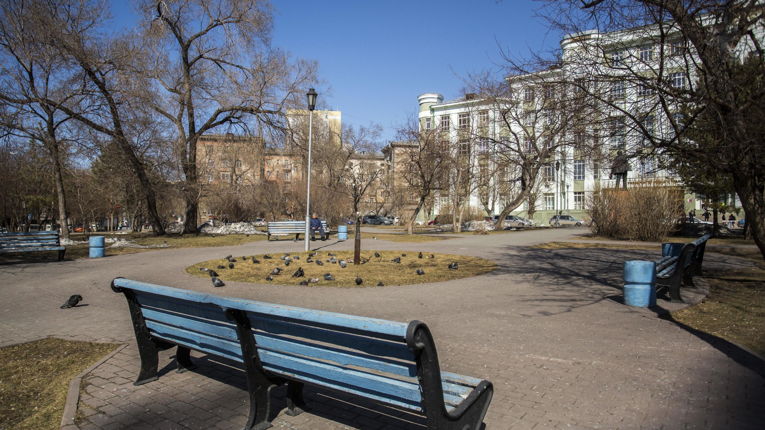 В Новосибирске потратят больше 3 миллионов на скамейки — где они появятся