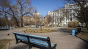 В Новосибирске потратят больше 3 миллионов на скамейки — где они появятся