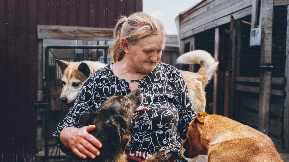 «Люди нашли мое слабое место, что мне их жалко»: как пенсионерка содержит приют для сотни собак в селе