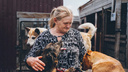 «Люди нашли мое слабое место, что мне их жалко»: как пенсионерка содержит приют для сотни собак в селе