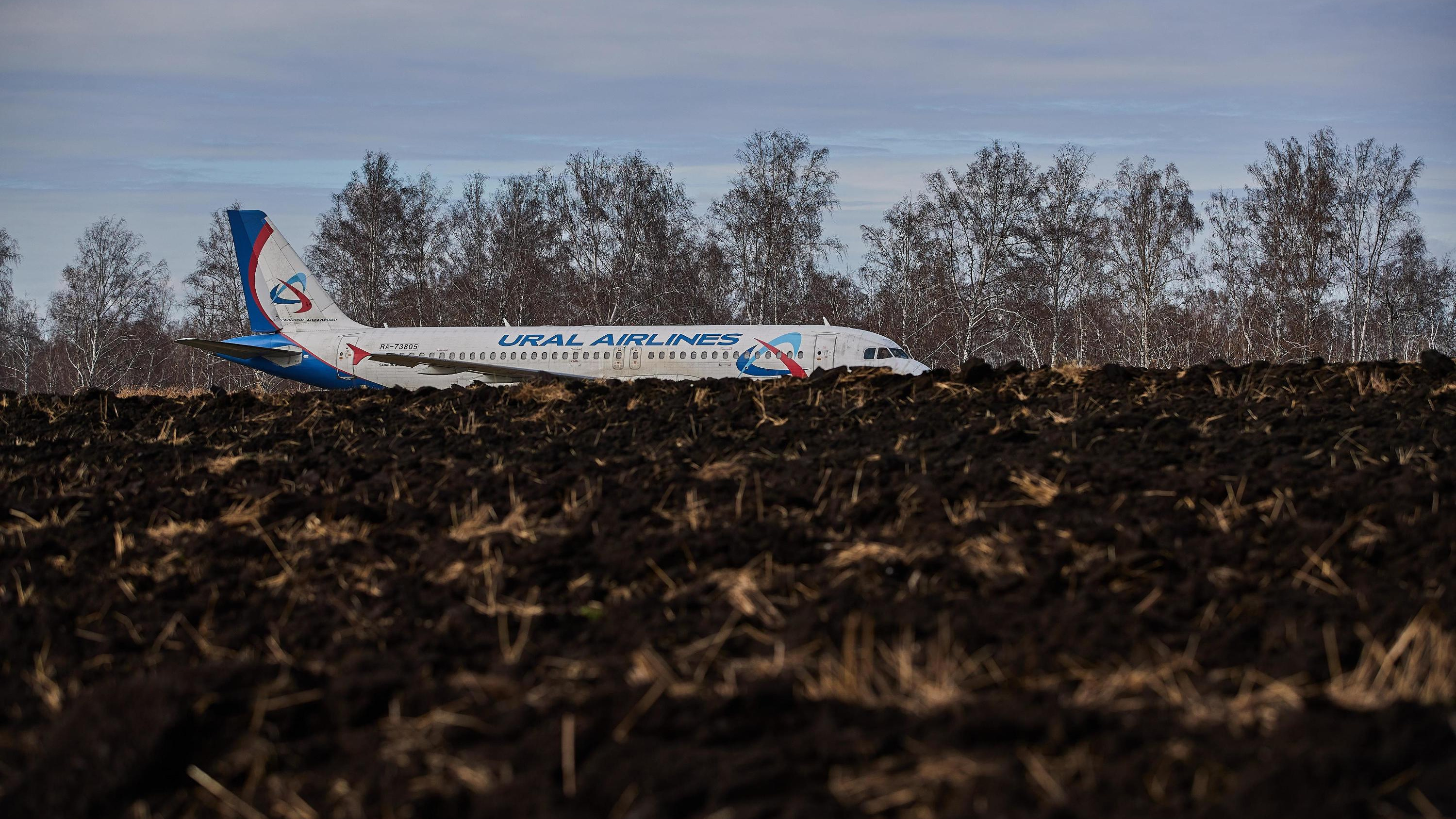 «То взлетать, то не взлетать»: «Уральские авиалинии» арендовали пшеничное поле, где приземлился их самолет