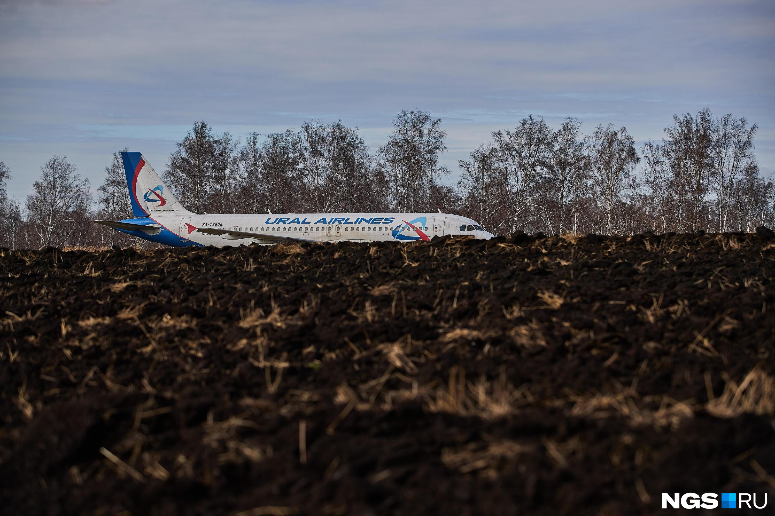 «То взлетать, то не взлетать»: «Уральские авиалинии» арендовали новосибирское поле, где приземлился их самолет