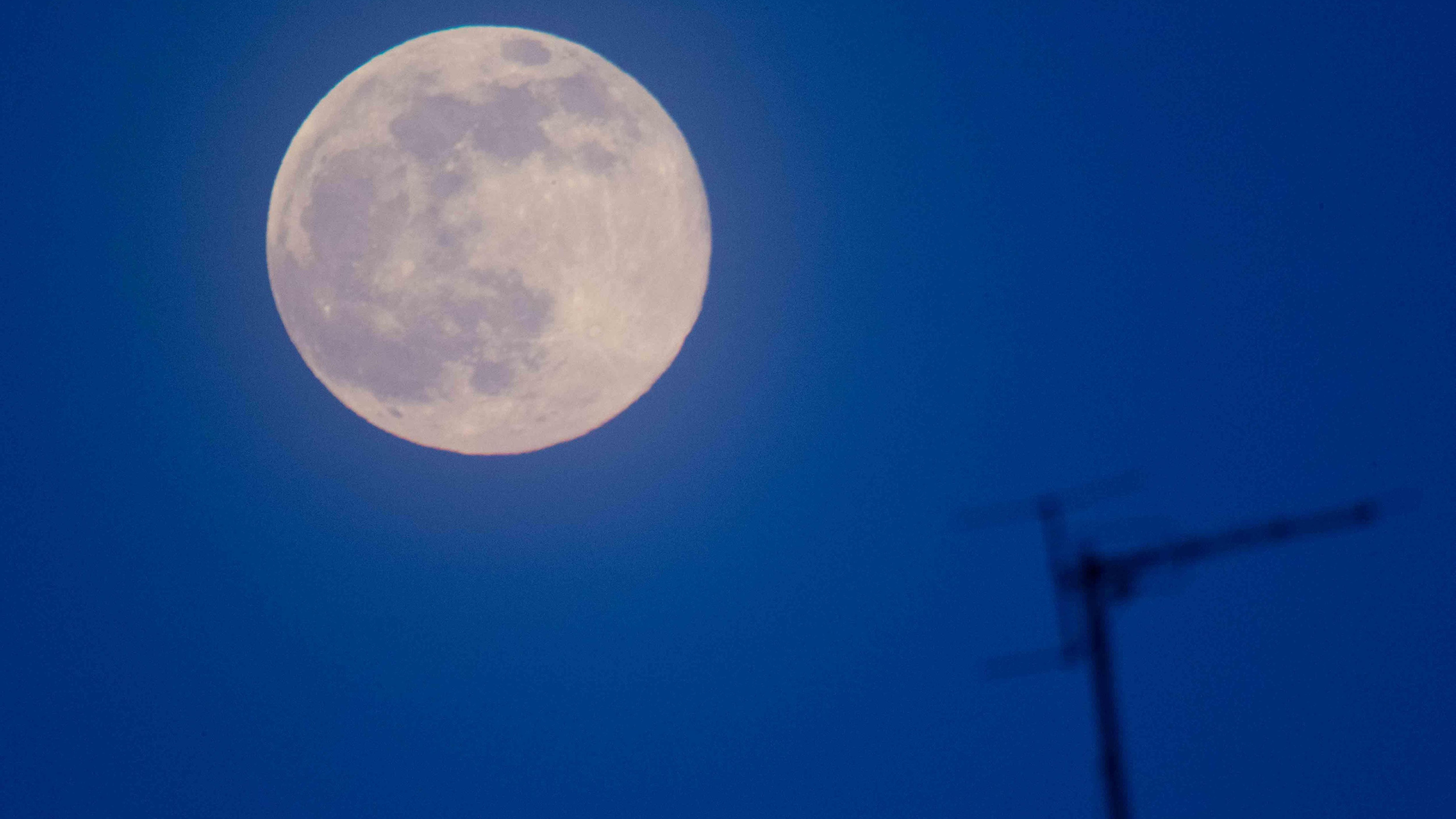 Над Новосибирском взойдет «цветочная Луна» — когда её можно увидеть