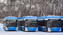В Новосибирске в марте запустят новые троллейбусы — по каким маршрутам пойдет транспорт