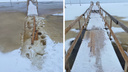 «Почему каждый год одно и то же?»: в Архангельске затопило переправу на Кегостров