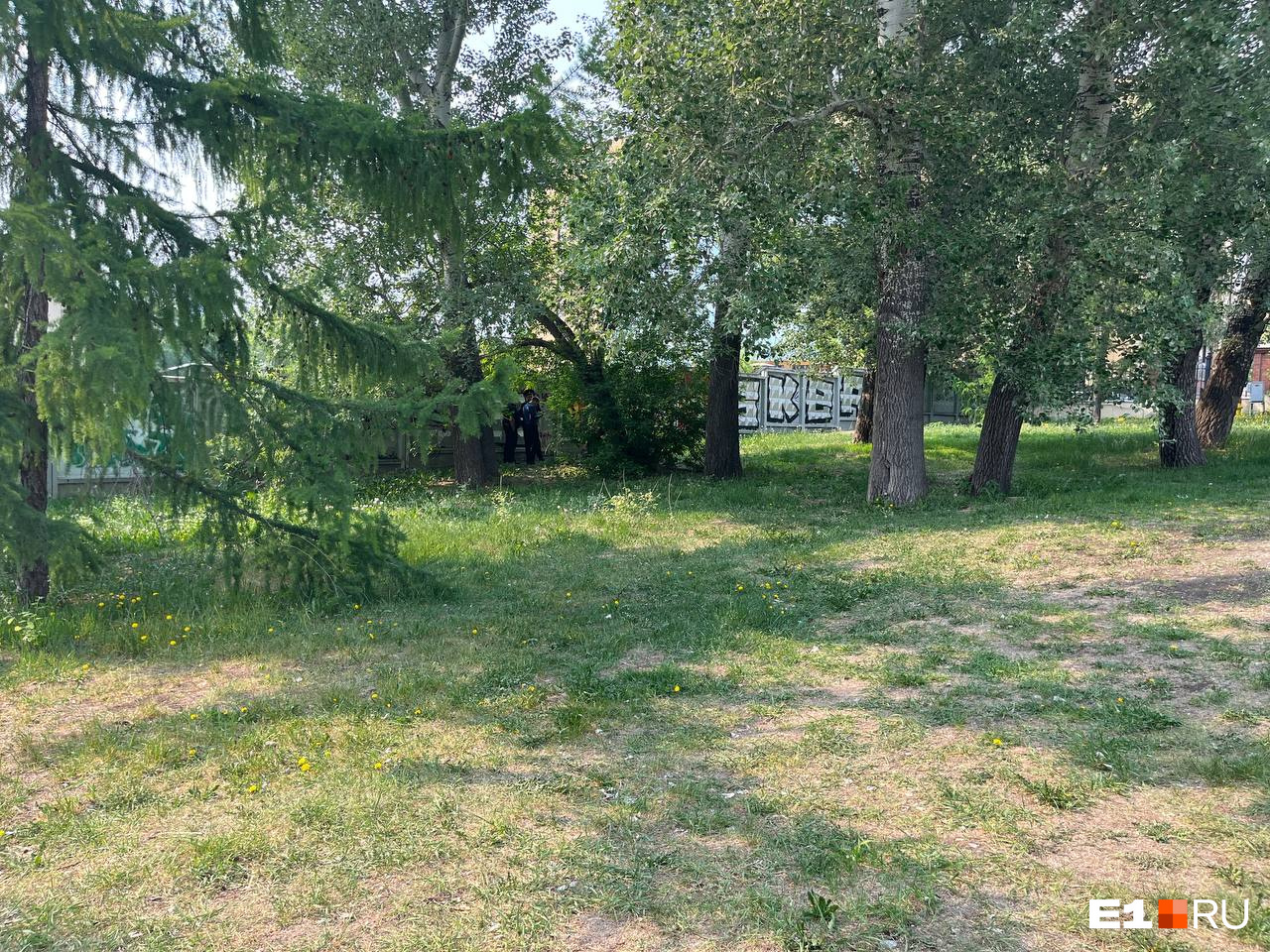 «Приехал на заработки». Знакомый рассказал о парне, чье тело нашли в Екатеринбурге висящим на дереве