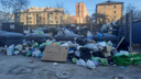 «Мусоровозы — не такси»: у дома на Дуси Ковальчук контейнерную площадку завалили отходами — фото с душком