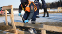 Спасатели проверили прочность льда на «Голубых озёрах» накануне Крещения