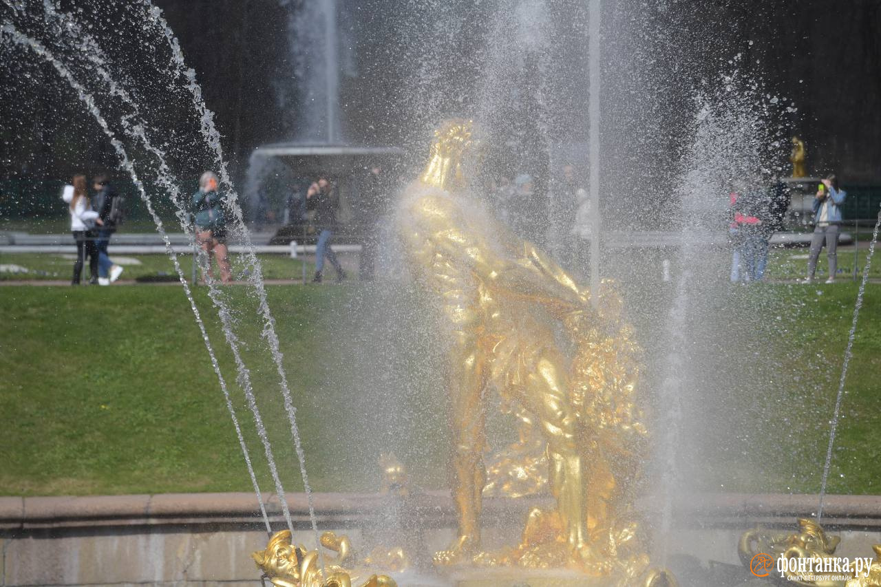 В «Петергофе» объяснили цвет и запах воды у «Самсона» при пуске фонтанов