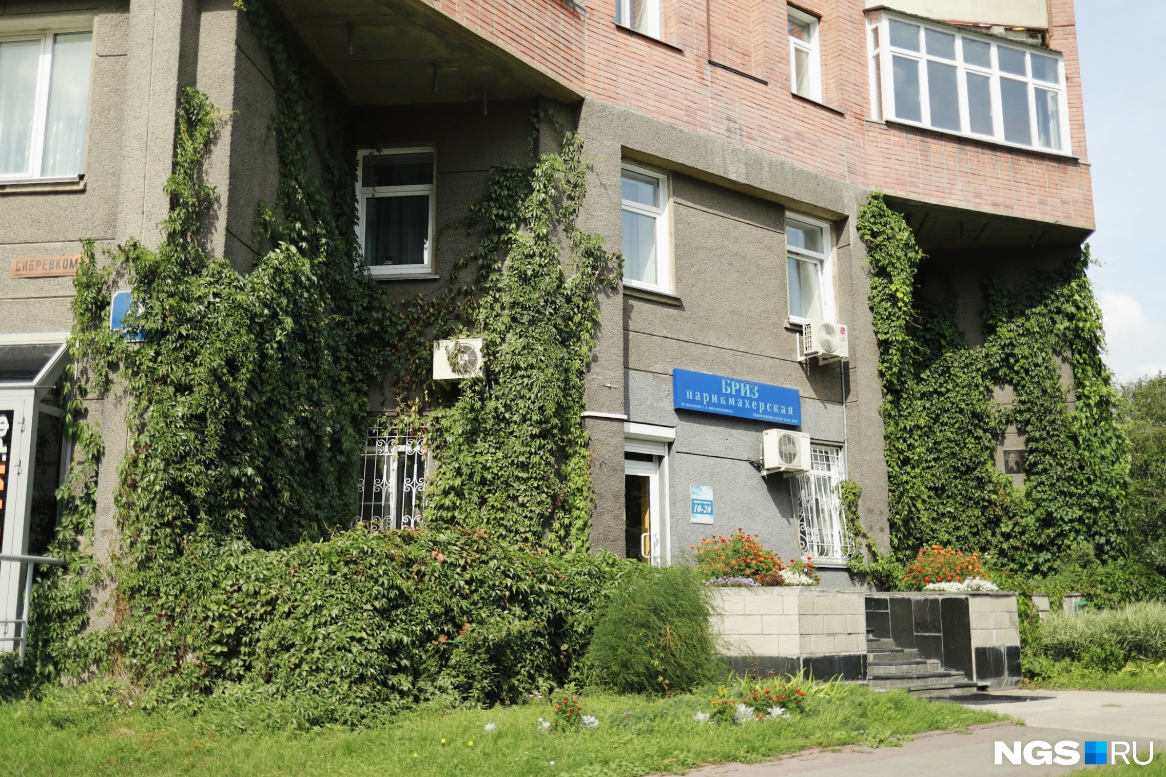 За домом продолжают следить. По крайней мере, с озеленением здесь все в порядке