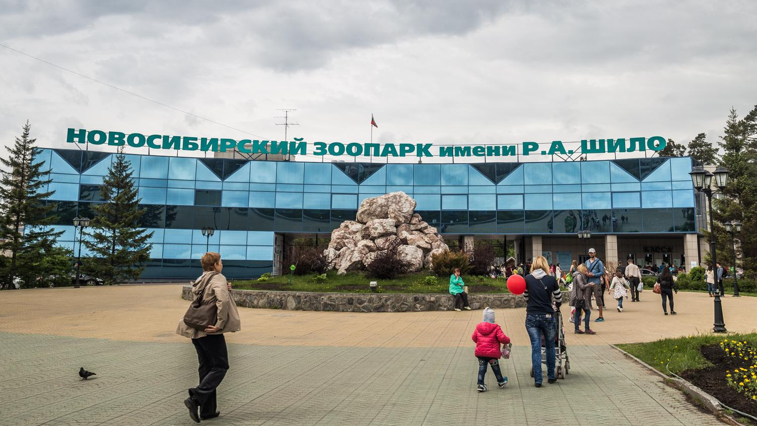 Новосибирский зоопарк решил потратить <nobr class="_">650 тысяч</nobr> на загадочного зверя