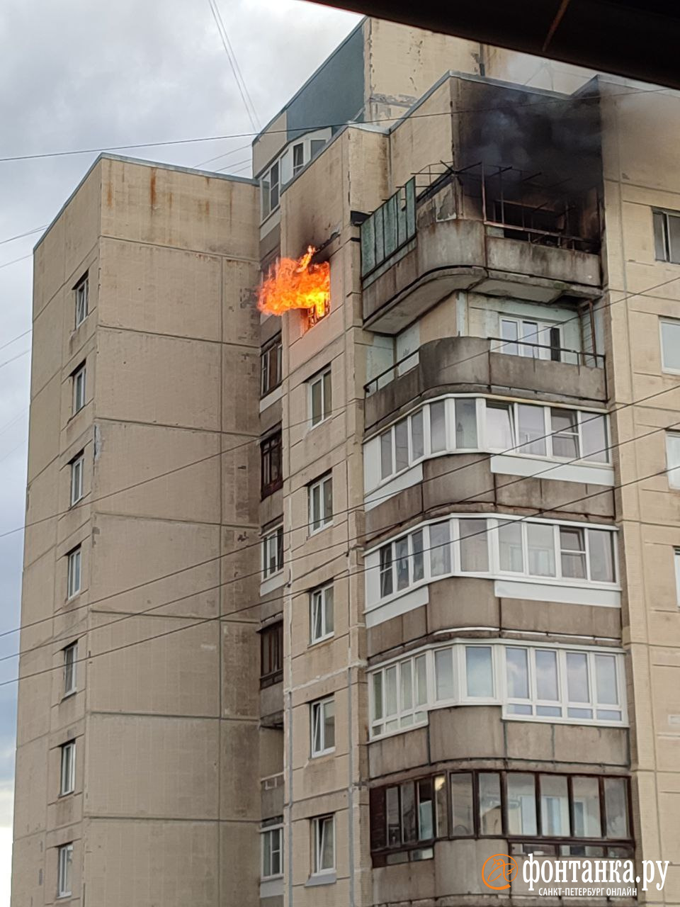 Видео и фото квартирного пожара на Северном проспекте, 14/2, в Петербурге -  2 сентября 2023 - ФОНТАНКА.ру