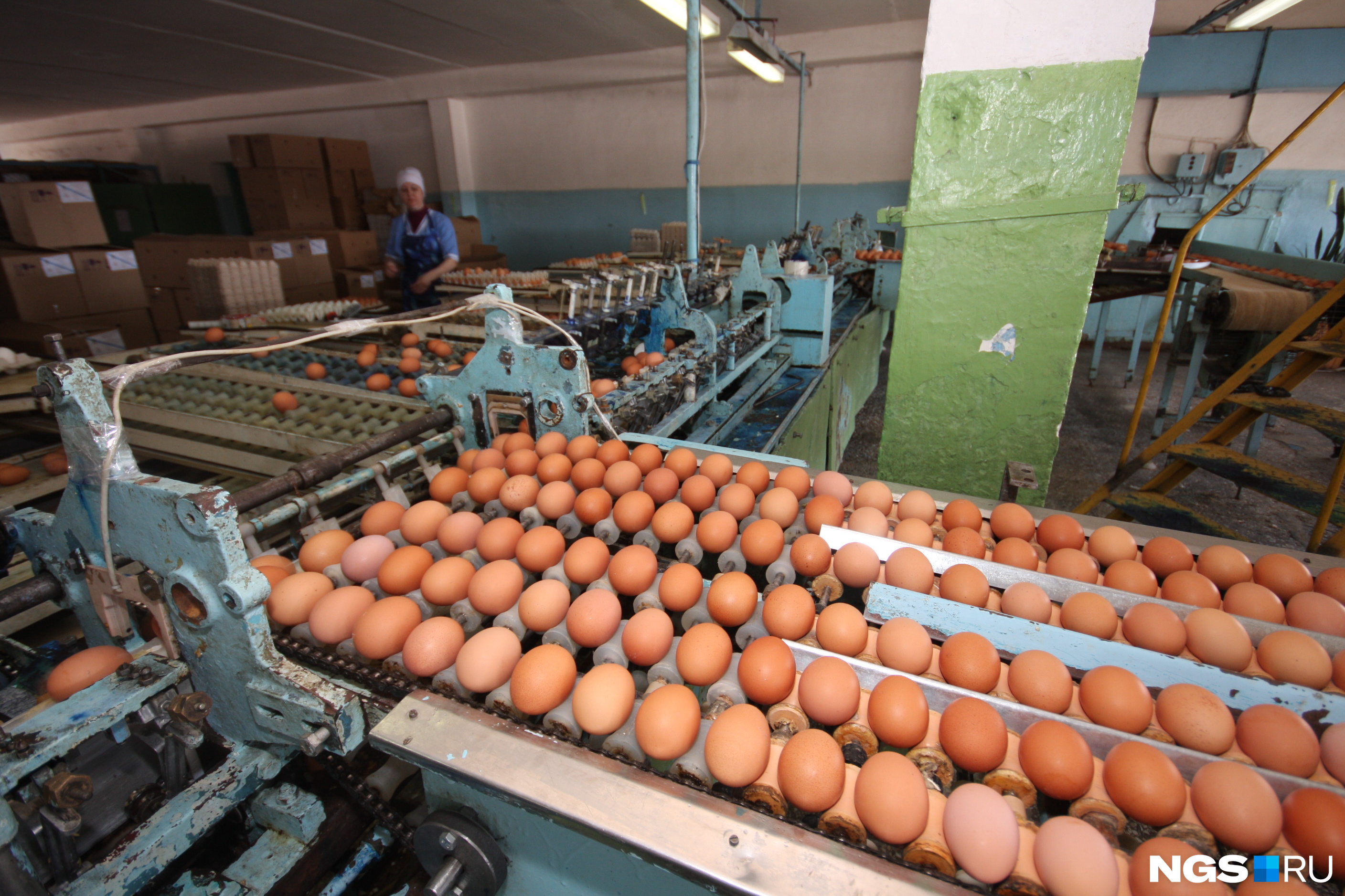 Что повлияло на рост цен на куриные яйца, когда он закончится и сколько  вскоре придется заплатить за десяток яиц - 21 ноября 2023 - v1.ru
