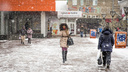 Слабые морозы и первый дождь: какой будет погода в марте в Новосибирске